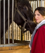 Filename=003.jpg
Filesize=1195KiB
Dimensions=3000x1997
Date added=Jan 07, 2015 003.jpg