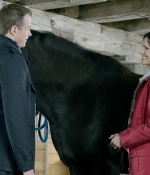 Filename=013.jpg
Filesize=1223KiB
Dimensions=3000x1997
Date added=Jan 07, 2015 013.jpg